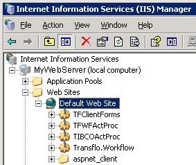 Install the Transflo DMS Workflow Web Client