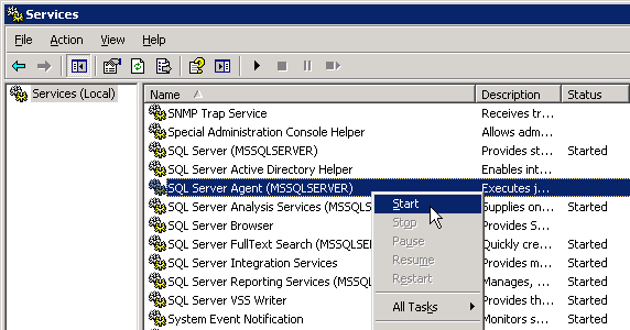 Configure Transflo DMS Management Reports